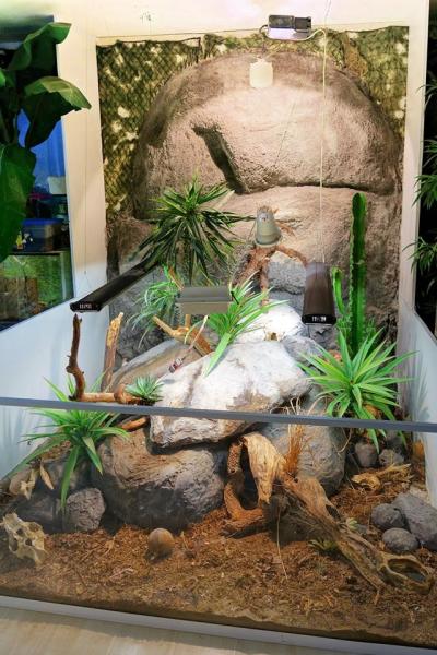 Klicke auf die Grafik für eine vergrößerte Ansicht  Name: 14650064_1208869149185692_4334511758884034323_n.jpg?oh=783da0899a61ef79c769e9c629e2d940&amp;oe=5A29000C.jpg Ansichten: 1 Größe: 55,9 KB ID: 1223562