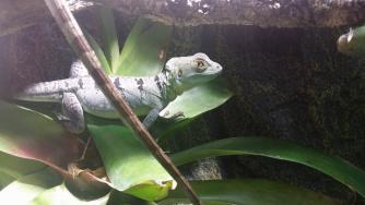 Klicke auf die Grafik f�r eine vergr��erte Ansicht

Name: image_19364.jpg
Ansichten: 90
Gr��e: 11,2 KB
ID: 1223760