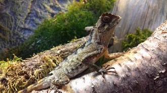 Klicke auf die Grafik f�r eine vergr��erte Ansicht

Name: image_19384.jpg
Ansichten: 313
Gr��e: 27,4 KB
ID: 1223854