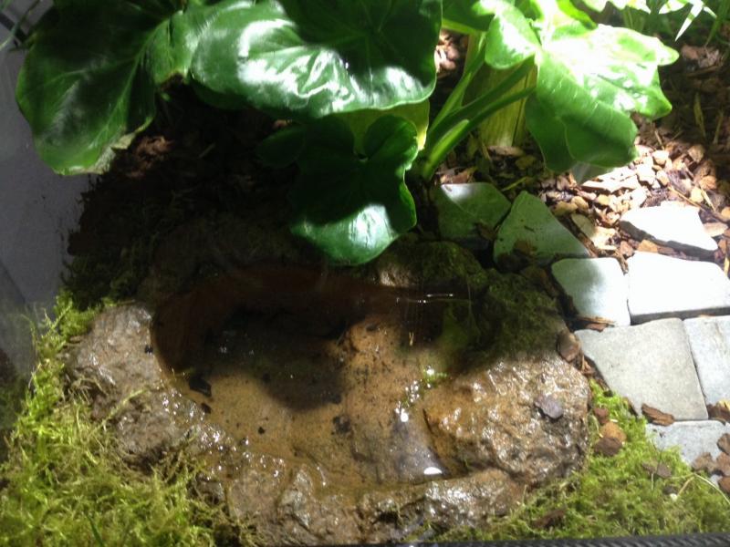 Klicke auf die Grafik f�r eine vergr��erte Ansicht

Name: IMG_7126.JPG
Ansichten: 485
Gr��e: 77,2 KB
ID: 1224589