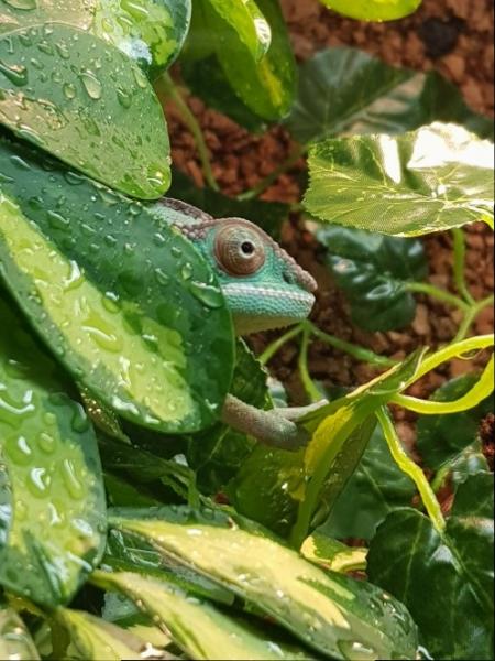 Klicke auf die Grafik f�r eine vergr��erte Ansicht

Name: B_20180208_185914.jpg
Ansichten: 81
Gr��e: 51,9 KB
ID: 1225497