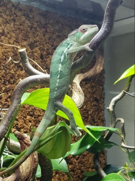 Klicke auf die Grafik f�r eine vergr��erte Ansicht

Name: B_20180212_202938.jpg
Ansichten: 92
Gr��e: 53,4 KB
ID: 1225499