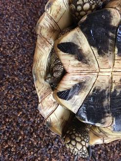 Klicke auf die Grafik fr eine vergrerte Ansicht

Name: 1068909B-5817-4A07-AB35-48D4050A3286.jpeg
Ansichten: 314
Gre: 63,3 KB
ID: 1226072