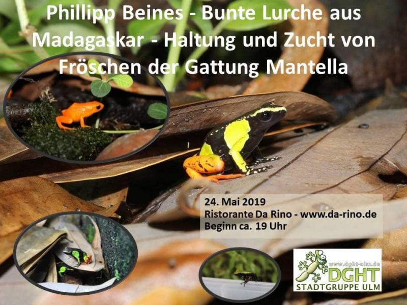Klicke auf die Grafik fr eine vergrerte Ansicht

Name: 45222691_1931428333561270_4800251094359867392_n.jpg
Ansichten: 303
Gre: 85,1 KB
ID: 1229211