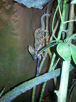 Klicke auf die Grafik fr eine vergrerte Ansicht

Name: 20190521_182044.jpg
Ansichten: 611
Gre: 47,2 KB
ID: 1229319