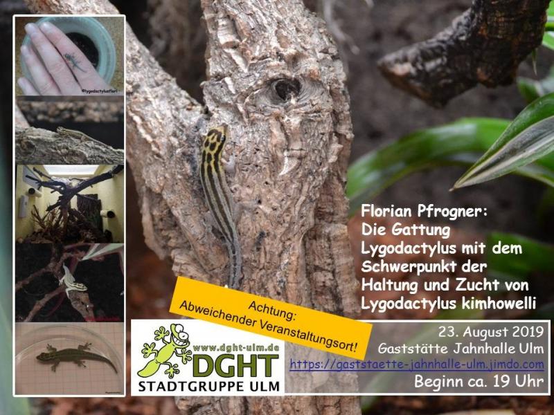 Klicke auf die Grafik für eine vergrößerte Ansicht  Name: Vortrag Pfrogner Lygodactylus Einladung.jpg Ansichten: 1 Größe: 94,5 KB ID: 1230020