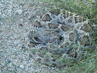 Klicke auf die Grafik f�r eine vergr��erte Ansicht

Name: P9070343.JPG
Ansichten: 369
Gr��e: 129,9 KB
ID: 1231835