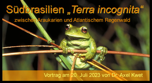 Klicke auf die Grafik fr eine vergrerte Ansicht

Name: anzeige_neu.jpg
Ansichten: 169
Gre: 59,8 KB
ID: 1240118