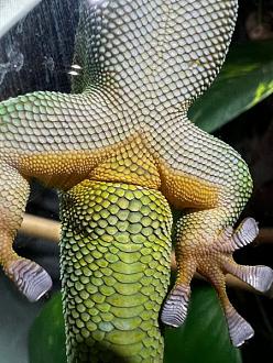 Klicke auf die Grafik f�r eine vergr��erte Ansicht

Name: WhatsApp Image 2023-12-30 at 16.39.23 (1).jpeg
Ansichten: 169
Gr��e: 68,0 KB
ID: 1241517