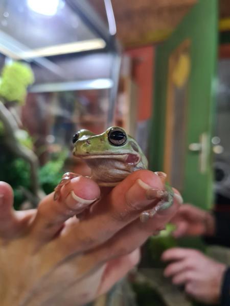 Klicke auf die Grafik f�r eine vergr��erte Ansicht

Name: IMG-20240316-WA0005.jpg
Ansichten: 159
Gr��e: 25,1 KB
ID: 1242230