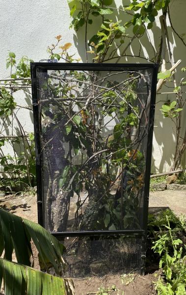 Klicke auf die Grafik fr eine vergrerte Ansicht

Name: IMG_0393.jpeg
Ansichten: 508
Gre: 67,2 KB
ID: 1242520