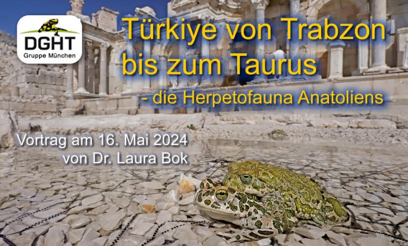 Vortrag Mai 2024 - München