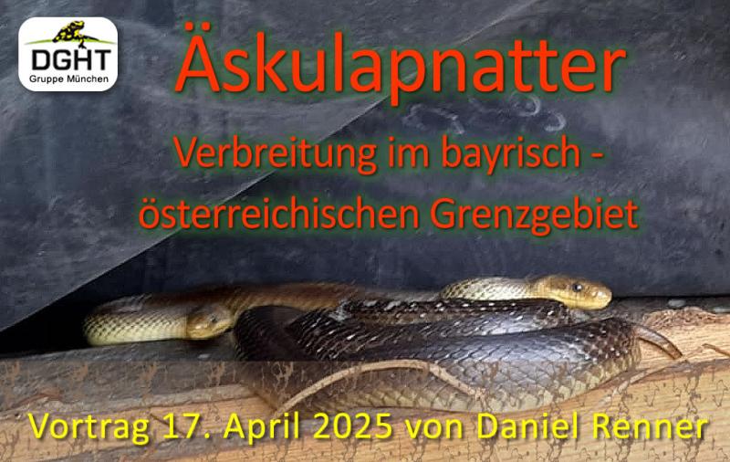 Klicke auf die Grafik fr eine vergrerte Ansicht

Name: banner_2025_04.jpg
Ansichten: 70
Gre: 71,9 KB
ID: 1245126