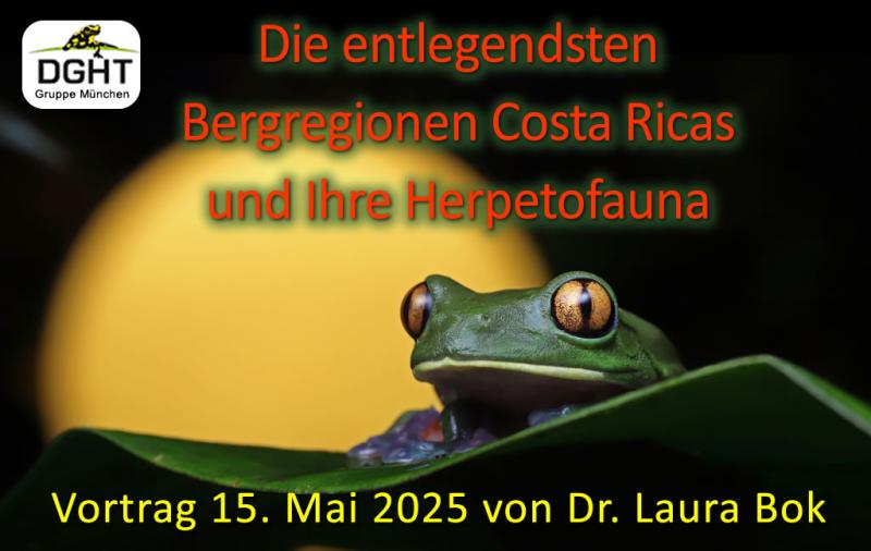 Klicke auf die Grafik für eine vergrößerte Ansicht  Name: banner_2025_05.jpg Ansichten: 0 Größe: 43,2 KB ID: 1245262
