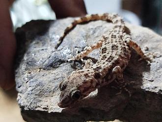 Klicke auf die Grafik f�r eine vergr��erte Ansicht

Name: IMG-20250909-WA0007.jpg
Ansichten: 295
Gr��e: 71,4 KB
ID: 1245924