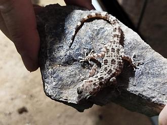 Klicke auf die Grafik f�r eine vergr��erte Ansicht

Name: IMG-20250909-WA0010.jpg
Ansichten: 216
Gr��e: 77,9 KB
ID: 1245925