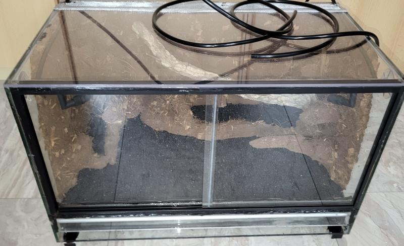 Klicke auf die Grafik fr eine vergrerte Ansicht

Name: 20250926_143225_resized.jpeg
Ansichten: 223
Gre: 63,0 KB
ID: 1246095