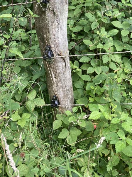 Klicke auf die Grafik für eine vergrößerte Ansicht  Name: IMG_9416a.JPG Ansichten: 0 Größe: 85,2 KB ID: 1246184