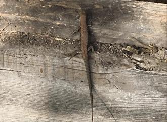 Klicke auf die Grafik fr eine vergrerte Ansicht

Name: IMG_20251008_185521.jpg
Ansichten: 55
Gre: 79,6 KB
ID: 1246202