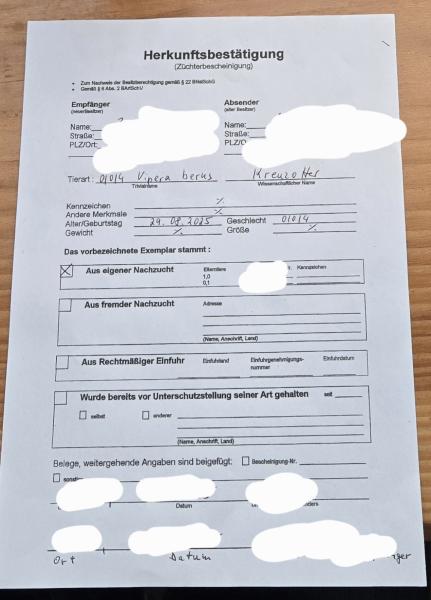 Klicke auf die Grafik fr eine vergrerte Ansicht

Name: 20251020_181849.jpg
Ansichten: 123
Gre: 35,1 KB
ID: 1246318