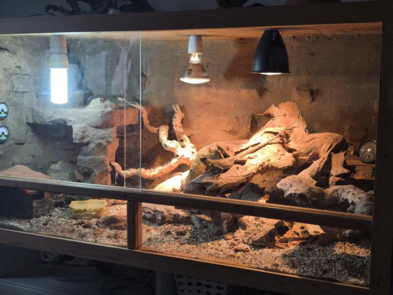 Klicke auf die Grafik f�r eine vergr��erte Ansicht

Name: image_23312.jpg
Ansichten: 145
Gr��e: 72,4 KB
ID: 1246521