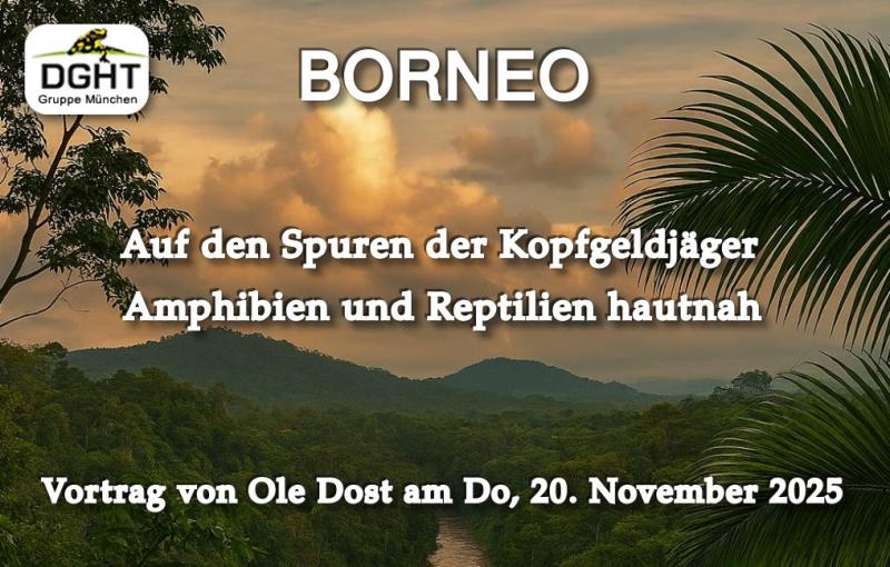 Klicke auf die Grafik fr eine vergrerte Ansicht

Name: Banner_Borneo.jpg
Ansichten: 48
Gre: 81,0 KB
ID: 1246537