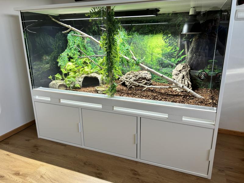 Klicke auf die Grafik fr eine vergrerte Ansicht

Name: IMG_8035.jpeg
Ansichten: 70
Gre: 87,7 KB
ID: 1246551