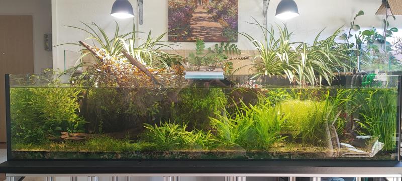 Klicke auf die Grafik f�r eine vergr��erte Ansicht

Name: IMG_20250824_162110.jpg
Ansichten: 45
Gr��e: 68,8 KB
ID: 1246571