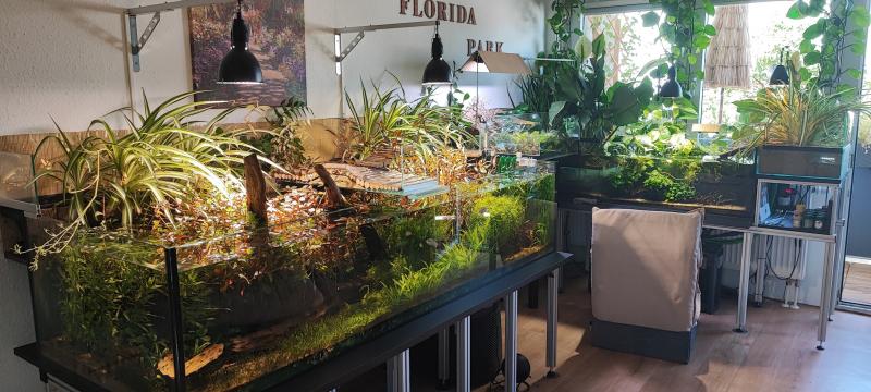 Klicke auf die Grafik f�r eine vergr��erte Ansicht

Name: Screenshot_2025-11-27-23-23-44-236_com.google.android.apps.photos.jpg
Ansichten: 40
Gr��e: 68,2 KB
ID: 1246572