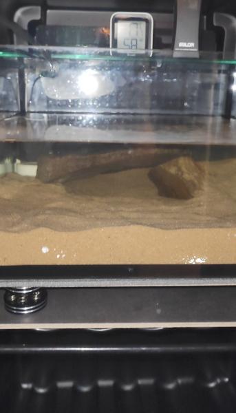 Klicke auf die Grafik fr eine vergrerte Ansicht

Name: Screenshot_2025-12-02-14-46-24-686_com.google.android.apps.photos.jpg
Ansichten: 0
Gre: 23,0 KB
ID: 1246626