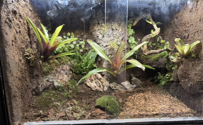 Klicke auf die Grafik f�r eine vergr��erte Ansicht

Name: IMG_1923.jpeg
Ansichten: 55
Gr��e: 101,3 KB
ID: 1246804