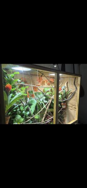 Klicke auf die Grafik f�r eine vergr��erte Ansicht

Name: Screenshot_20260102_205601_Gallery.jpg
Ansichten: 103
Gr��e: 16,8 KB
ID: 1246891