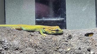 Klicke auf die Grafik für eine vergrößerte Ansicht  Name: IMG-20260201-WA0025.jpeg Ansichten: 0 Größe: 86,7 KB ID: 1247105