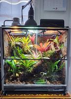 Klicke auf die Grafik f�r eine vergr��erte Ansicht

Name: 20260126_113428_resized_3.jpg
Ansichten: 155
Gr��e: 58,2 KB
ID: 1247108