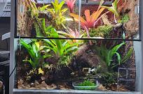 Klicke auf die Grafik f�r eine vergr��erte Ansicht

Name: 20260126_114858_resized_3.jpg
Ansichten: 110
Gr��e: 104,0 KB
ID: 1247110