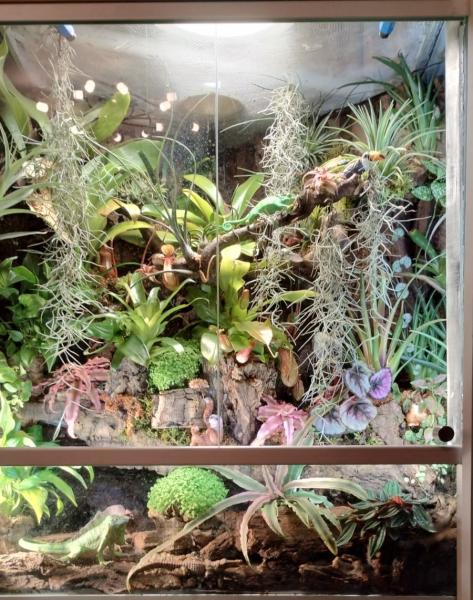 Klicke auf die Grafik f�r eine vergr��erte Ansicht

Name: Terra.jpeg
Ansichten: 154
Gr��e: 73,7 KB
ID: 1247254