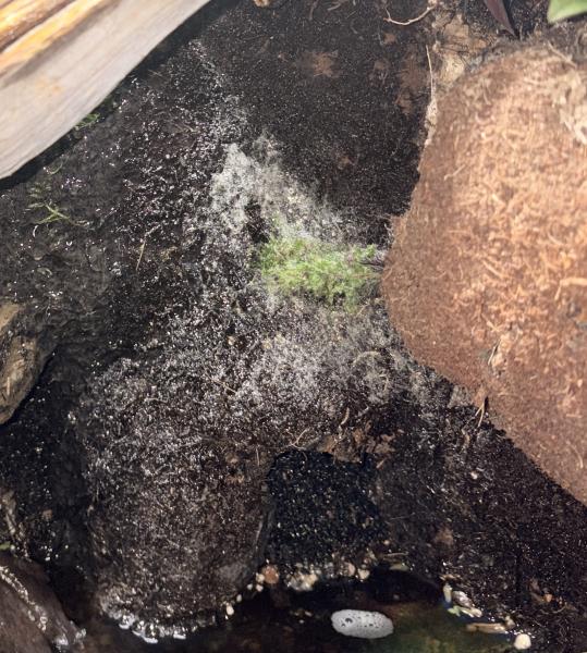 Klicke auf die Grafik f�r eine vergr��erte Ansicht

Name: IMG_1442.jpeg
Ansichten: 0
Gr��e: 83,7 KB
ID: 1247484