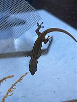 Klicke auf die Grafik f�r eine vergr��erte Ansicht

Name: cad8707b-5c69-4b75-9da3-5bc36b03b088.jpeg
Ansichten: 43
Gr��e: 33,5 KB
ID: 1247489