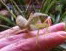 Klicke auf die Grafik fr eine vergrerte Ansicht

Name: Gottesanbeterin2_200_150.jpg
Ansichten: 210
Gre: 2,8 KB
ID: 1137226