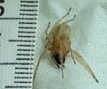 Klicke auf die Grafik fr eine vergrerte Ansicht

Name: Spinne.JPG
Ansichten: 2023
Gre: 180,3 KB
ID: 1155316