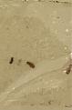 7E57613A-59AE-450A-94A7-D6C019A06FFB.jpeg