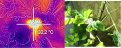 Klicke auf die Grafik fr eine vergrerte Ansicht

Name: ChamaeleonTemp.png
Ansichten: 197
Gre: 527,3 KB
ID: 1235546