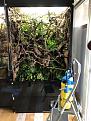 ...die neuen �ste und zwei weitere Pflanzen sind drin...